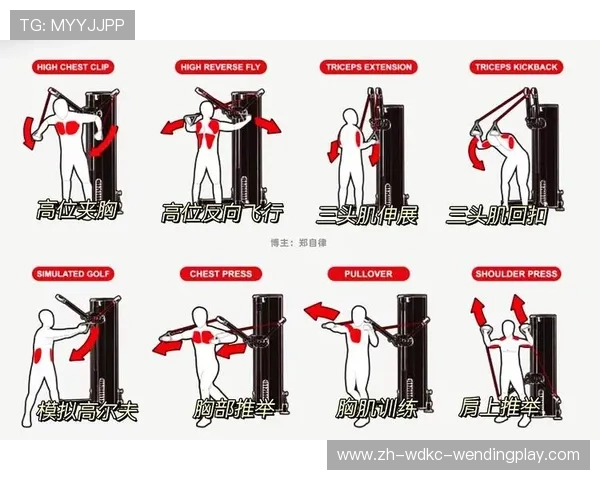 家庭健身器材推荐与实用搭配方案